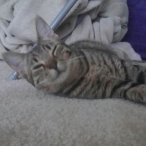 Meet your Posher, Candace